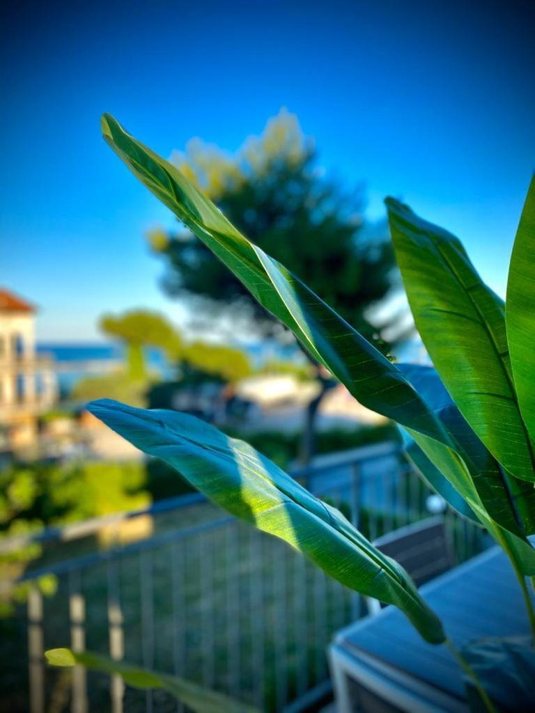La Marinella Apartment Massignano Bilik gambar